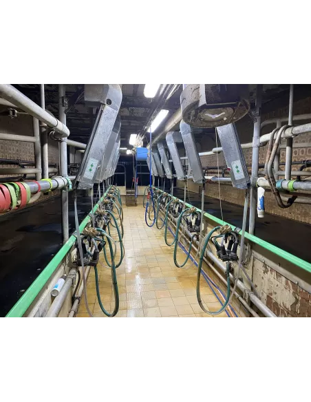 Salle de traite GEA (2 x 7 EPI 1200)