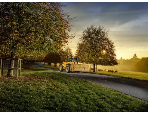 Télescopique JCB 532-60