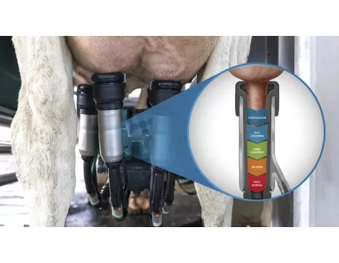 Robot de traite GEA DairyRobot R9500