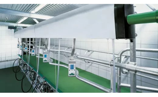 Salle de traite en épi GEA - EuroClass 1200