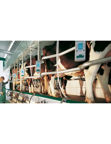 Salle de traite en épi GEA - EuroClass 1200