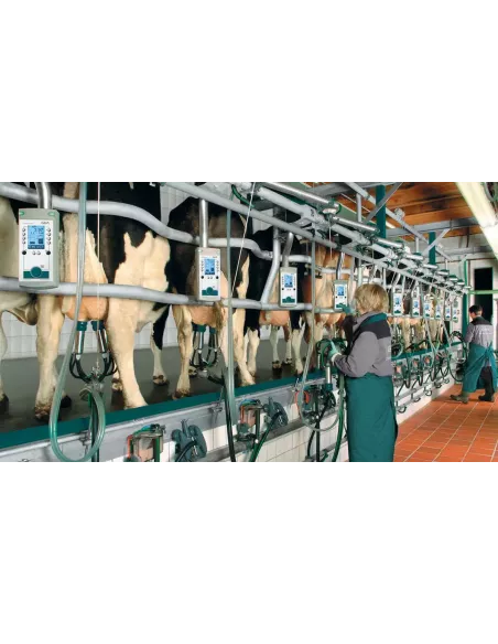 Salle de traite en épi GEA - EuroClass 800