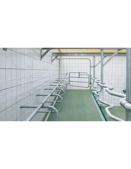 Salle de traite en épi GEA - EuroClass 800