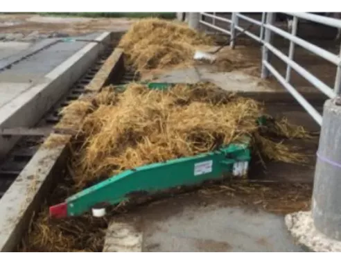 Racleur à chaine GEA