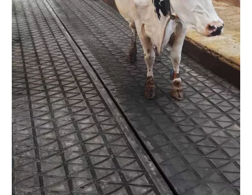 IDS Revêtement d'étable