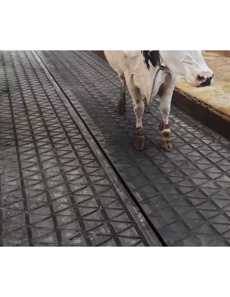 IDS Revêtement d'étable