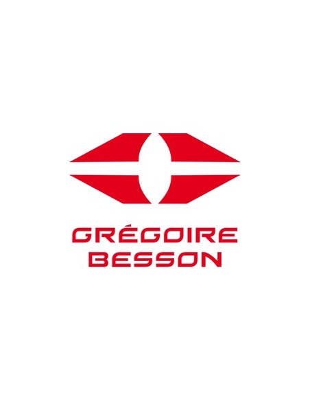 Grégoire Besson