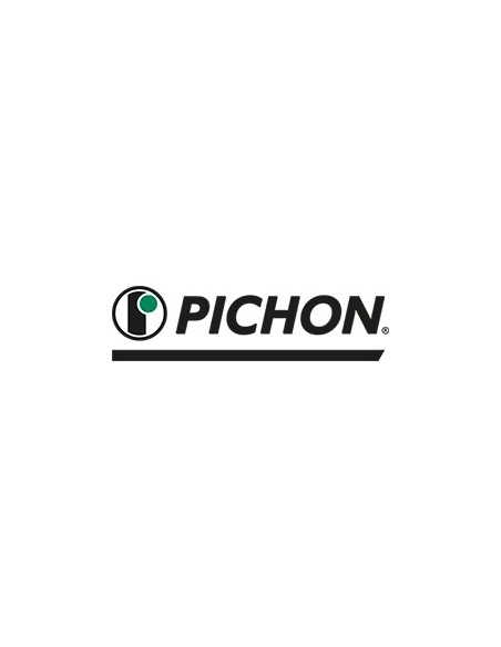 Pichon